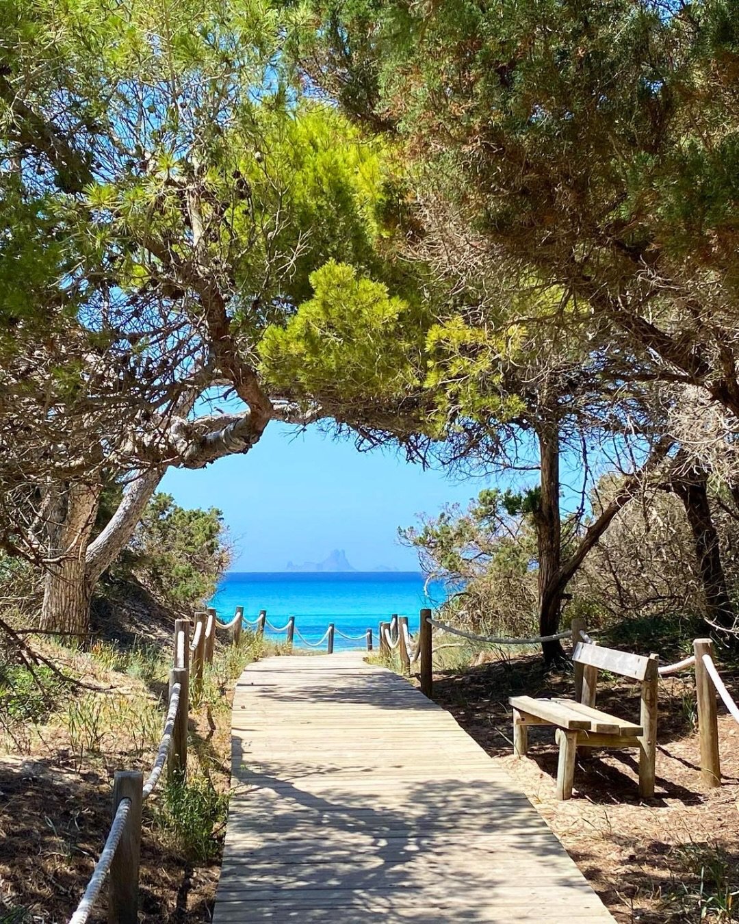 Passarela de madeira entre pinheiros até a praia, com o Es Vedrà no horizonte, em Ibiza