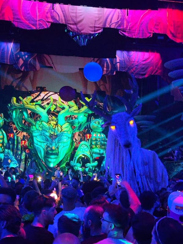 Cenografia da elrow: rosto verde gigante, gato e cervo iluminados sobre a pista